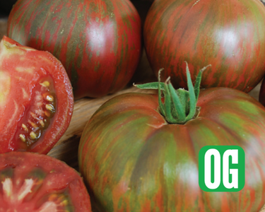 Pink Berkeley Tie-Dye Tomato Seeds